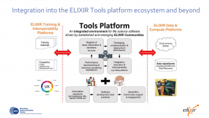 Elixir Salvador Capella Investmat BCS
