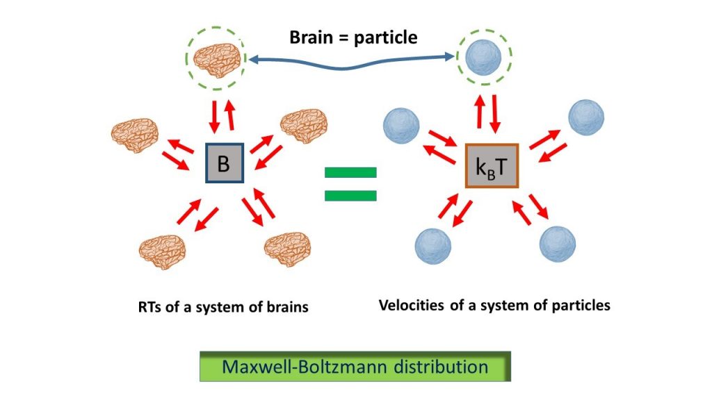 Maxwell Boltzmann distribution InvestMat